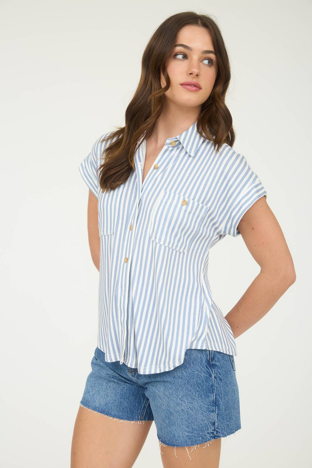 Classic Button Down
